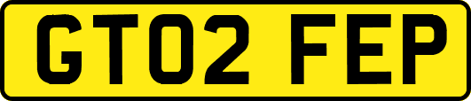 GT02FEP