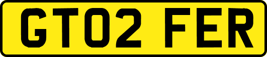 GT02FER