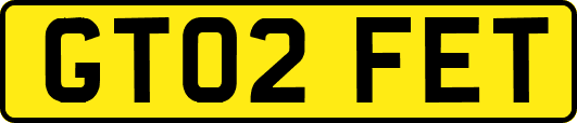 GT02FET