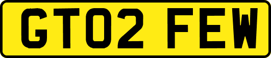 GT02FEW