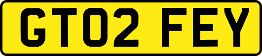 GT02FEY