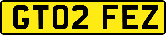 GT02FEZ