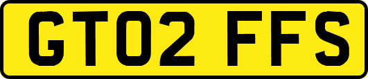 GT02FFS