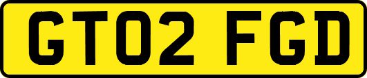 GT02FGD