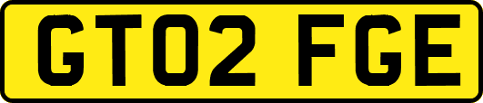 GT02FGE