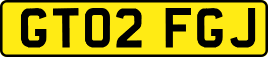 GT02FGJ