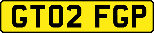 GT02FGP