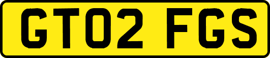 GT02FGS