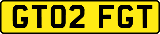 GT02FGT