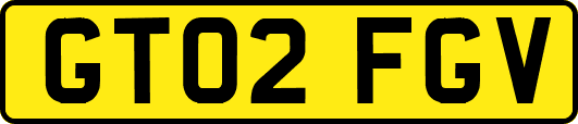 GT02FGV