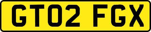 GT02FGX
