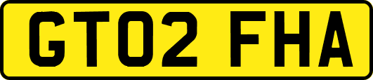 GT02FHA