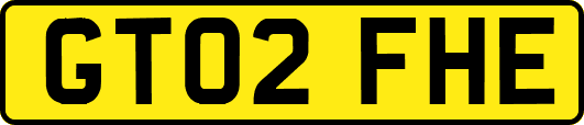GT02FHE