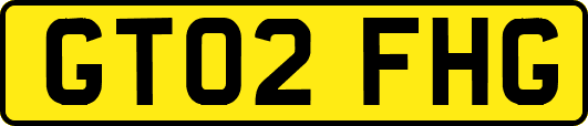 GT02FHG