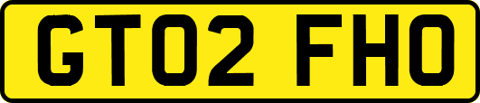 GT02FHO