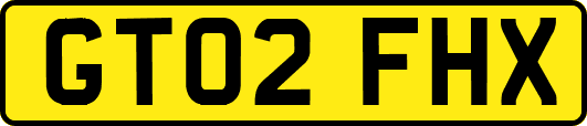 GT02FHX
