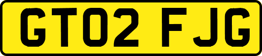 GT02FJG