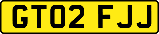GT02FJJ