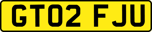 GT02FJU