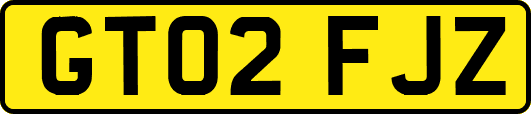 GT02FJZ