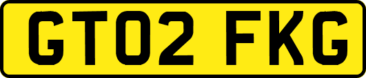 GT02FKG
