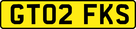 GT02FKS