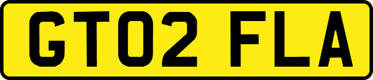 GT02FLA