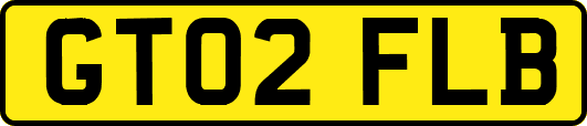 GT02FLB