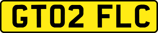 GT02FLC
