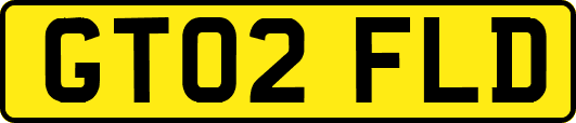 GT02FLD