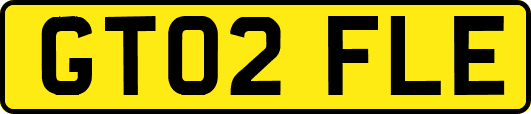 GT02FLE