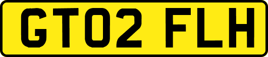 GT02FLH