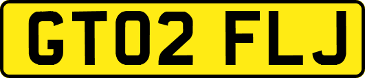 GT02FLJ