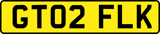 GT02FLK