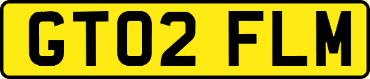 GT02FLM