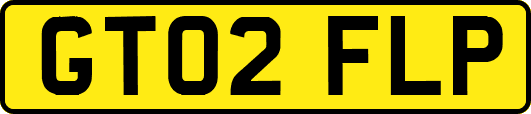 GT02FLP