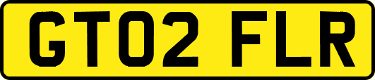 GT02FLR