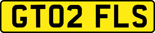 GT02FLS