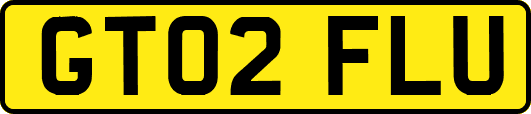 GT02FLU