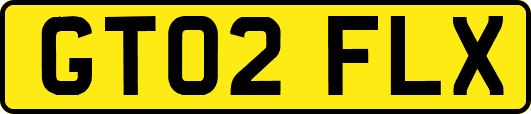 GT02FLX