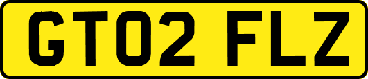 GT02FLZ