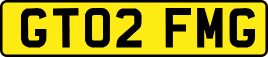 GT02FMG