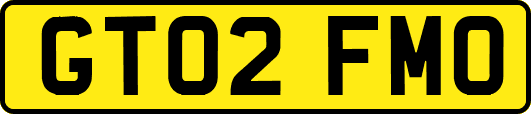 GT02FMO