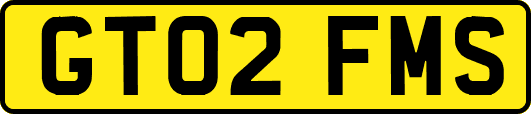 GT02FMS