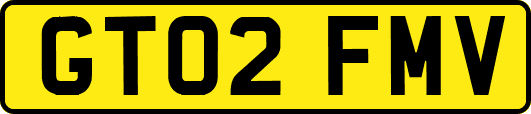 GT02FMV