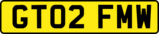 GT02FMW