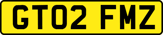 GT02FMZ