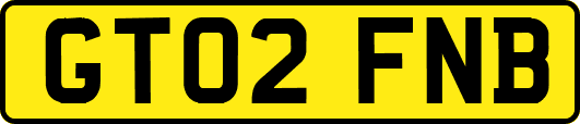 GT02FNB