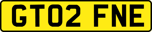 GT02FNE