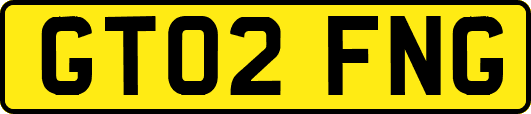 GT02FNG